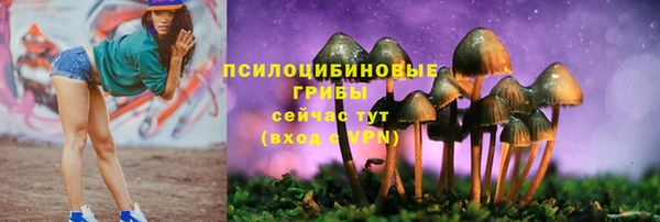 таблы Покачи
