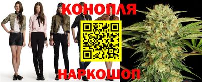 прущие грибы Тверь