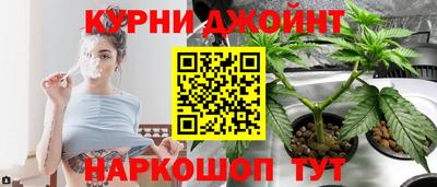 шишки Тара