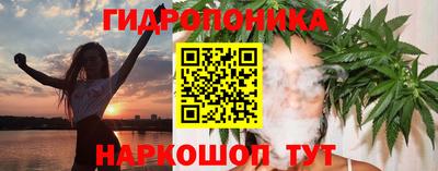 прущие грибы Тверь