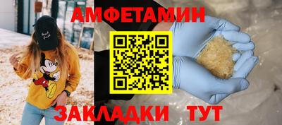 шишки Тара